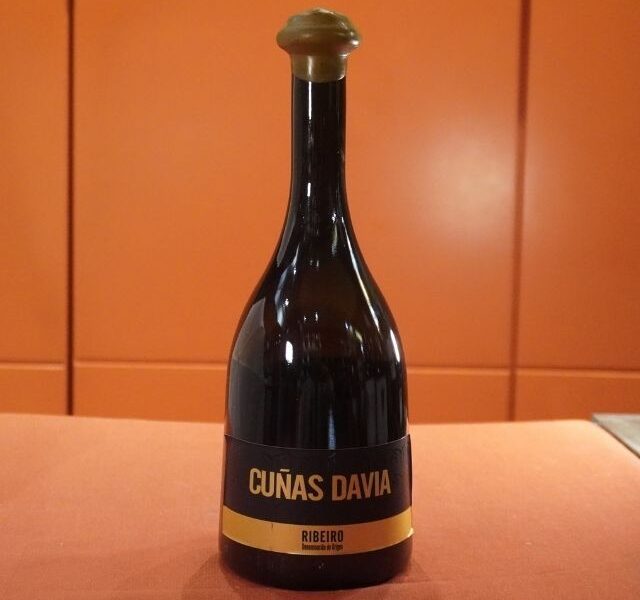 Cuñas Davia 2025 Ribeiro